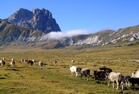 Abruzzo