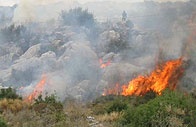 Požár v chorvatském kempu založil Čech
