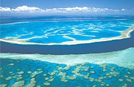 Velký bariérový útes u Austrálie