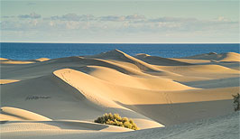 Poušť a duny na ostrově Gran Canaria - Kanárské ostrovy