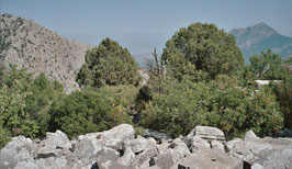 Diův chrám (ruiny) - Národní park Termessos - Turecko